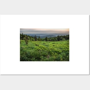 Mountain meadow Posters and Art